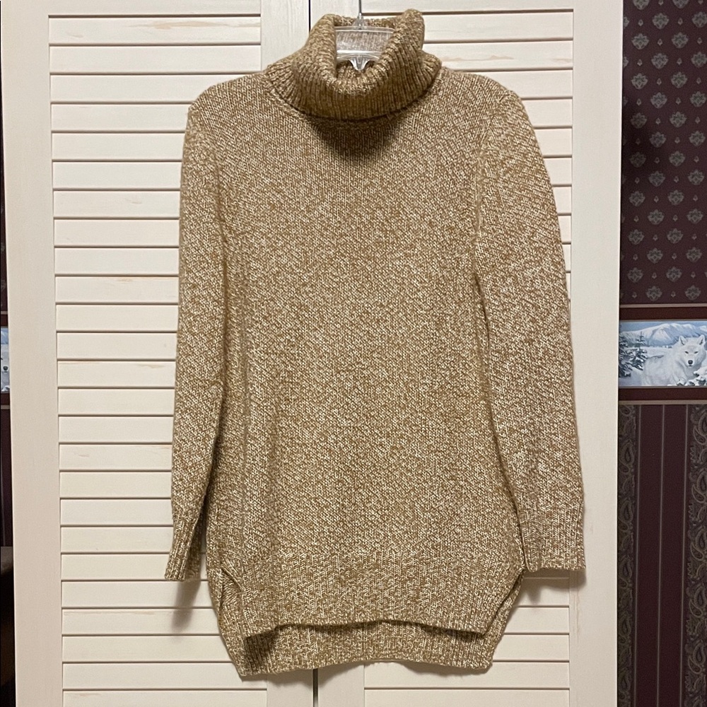 Isaac Mizrahi Live Women's long Turtleneck Sweater